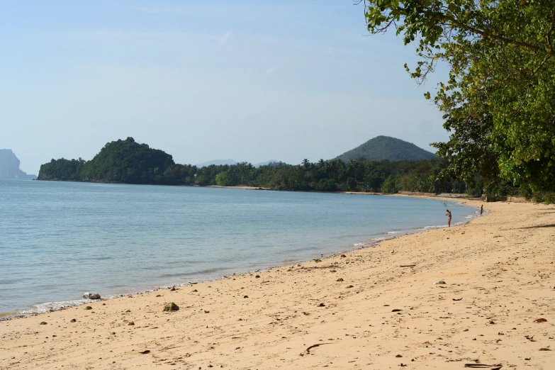 some people stand in the water at the beach