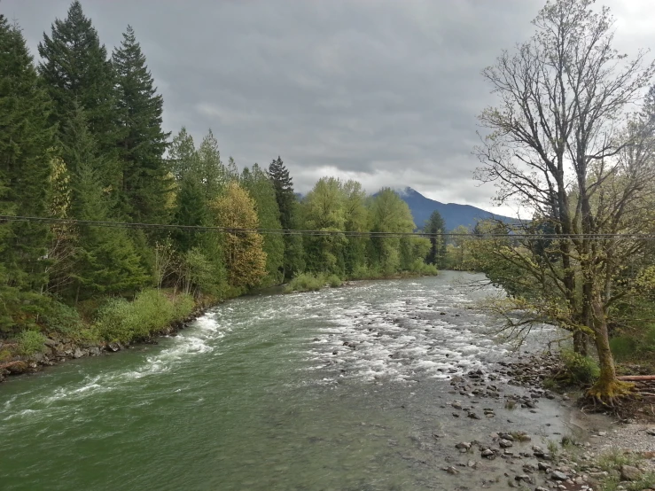 river moving through forested area near power line