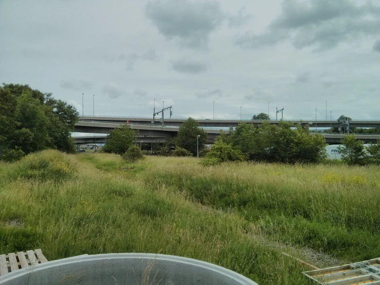 a field is sitting in front of a road