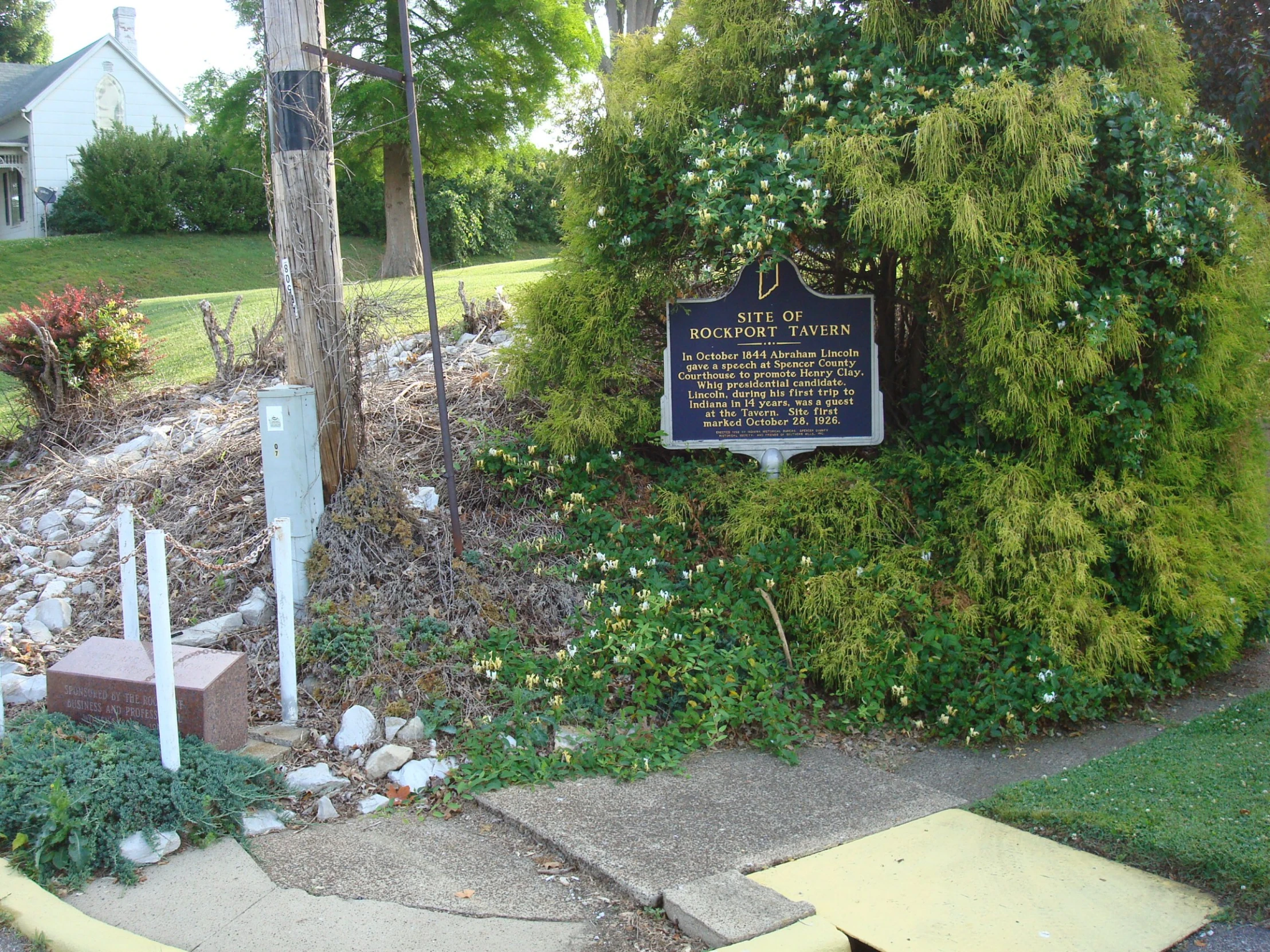 there are a bunch of bushes growing along the sidewalk