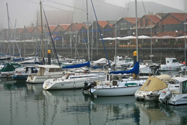 the large number of boats are docked in the harbor