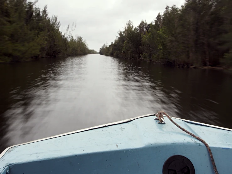 a boat is traveling through an unmatched swamp