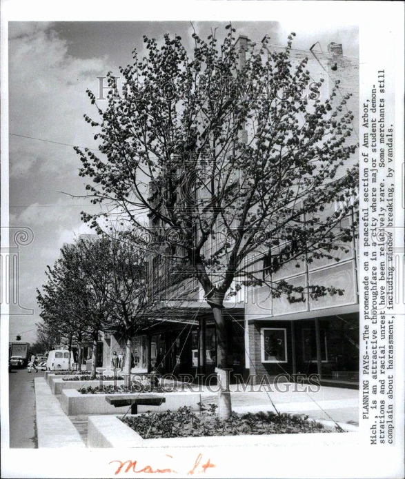 a large tree in front of a building