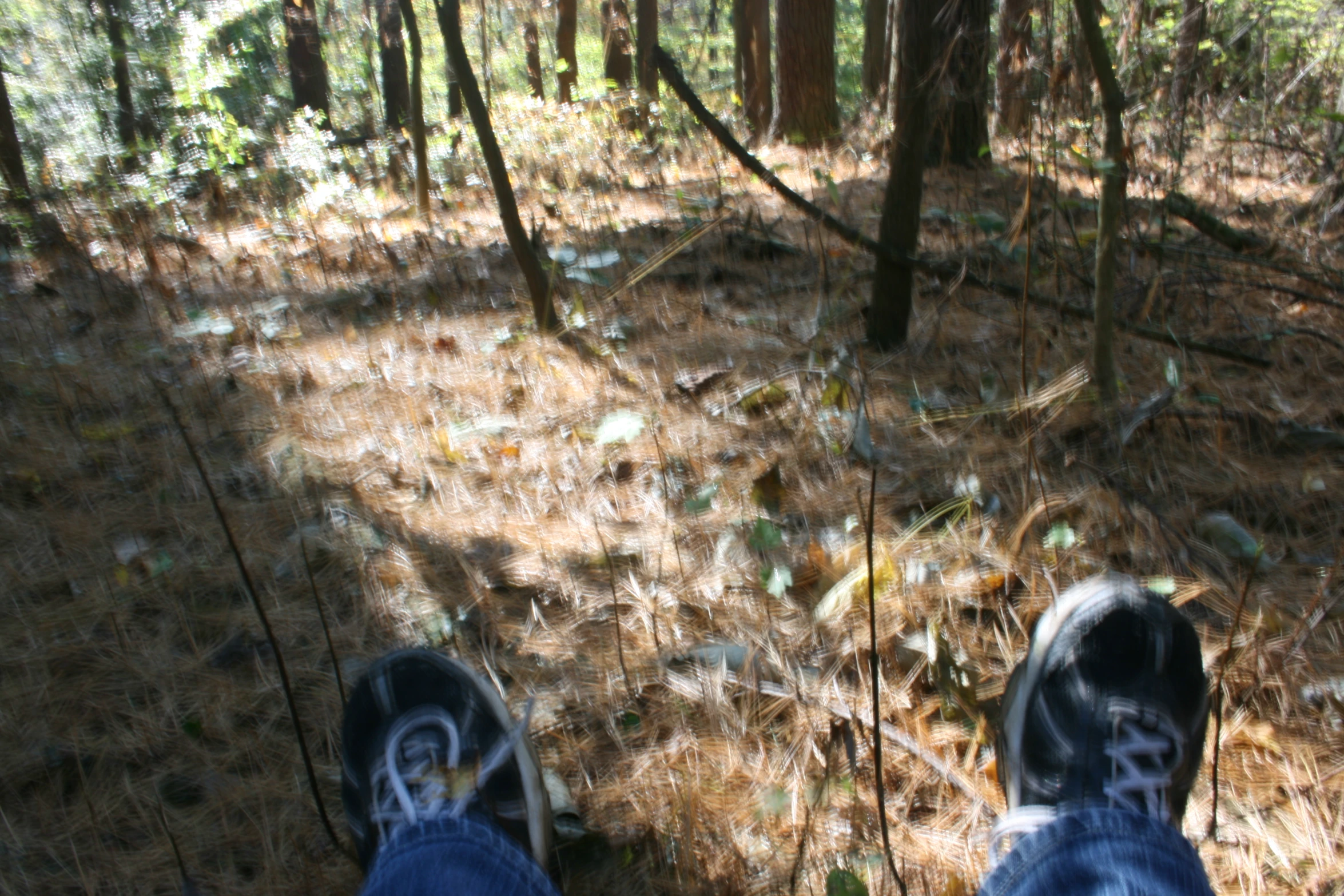 the feet of a person in black and white sneakers standing on a path near trees