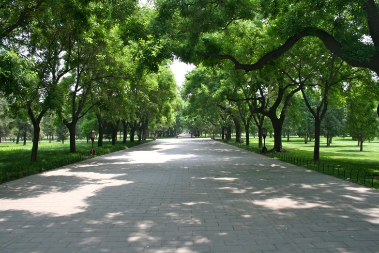 a walkway in a park next to a row of trees