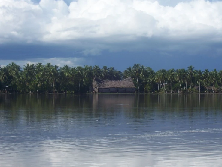 a house in the water with many palm trees