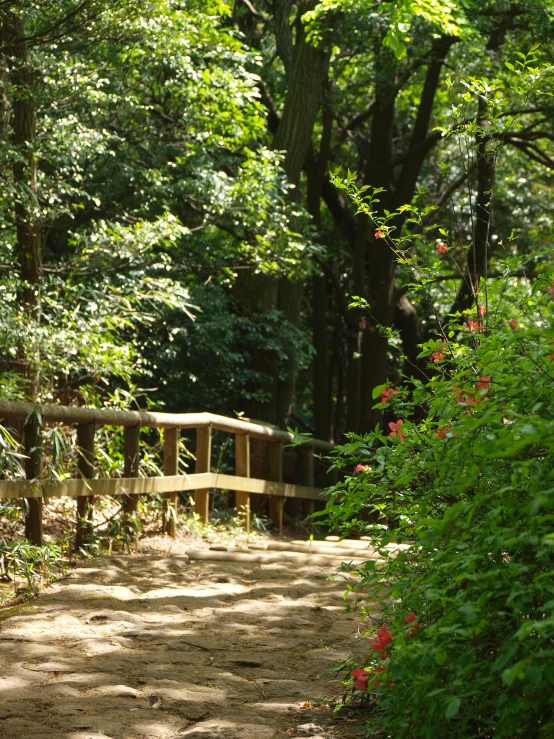 a wooden bridge over a dirt road surrounded by trees