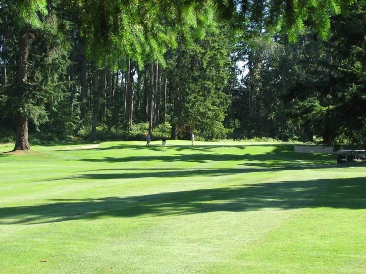 a green golf field near trees and the ground