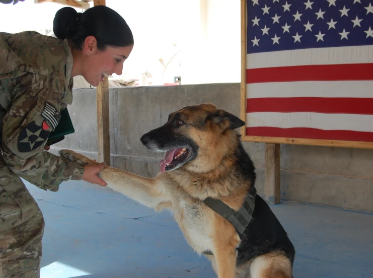 a woman in uniform holding the hand of a dog