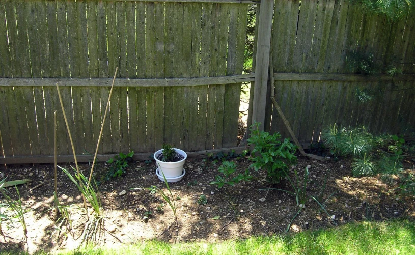 two pots are placed in the yard beside a fence