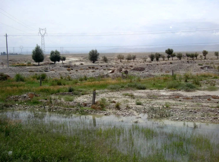 a water way in a barren area with trees