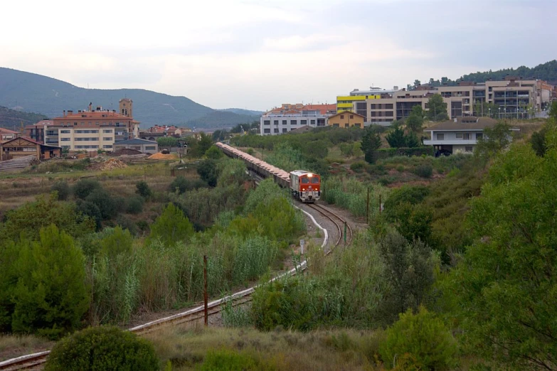 a train on a track running through some green trees