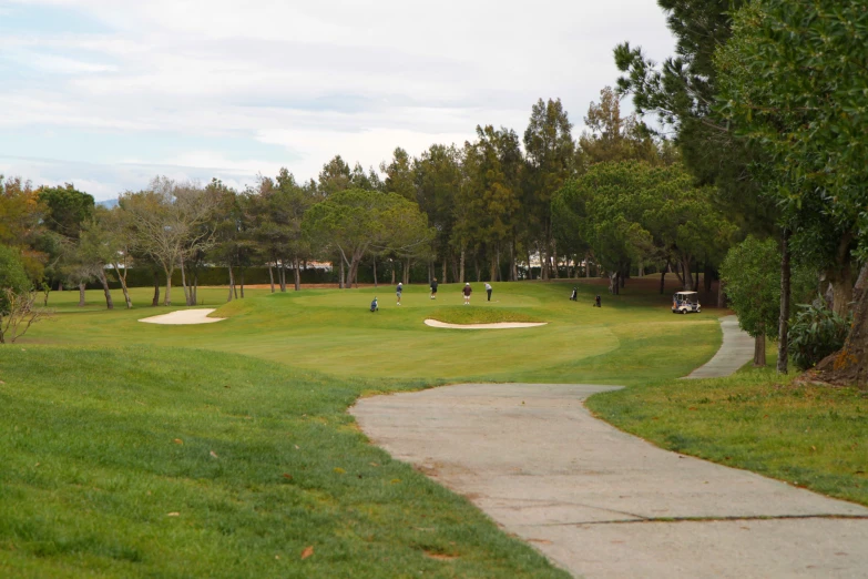 the people are playing golf in the park