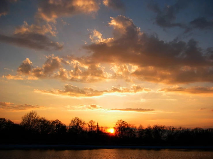 the sun rises over a forest filled with trees