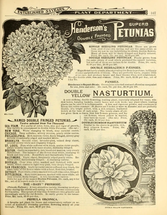 an old advertit for a plant with many flowers