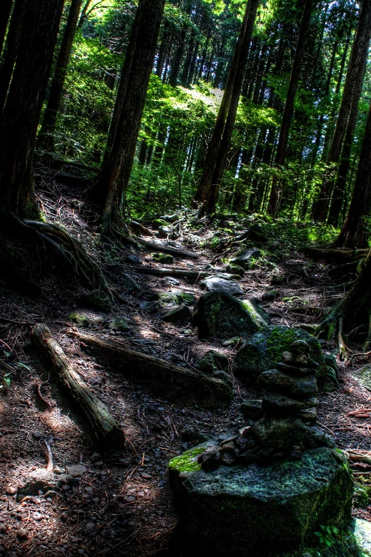 a trail that leads to some very large rocks