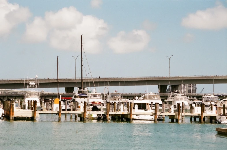 boats in a marina with a bridge in the background