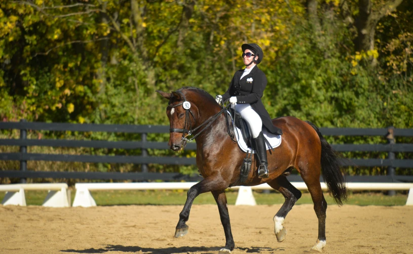 a woman in a riding outfit is riding her brown horse