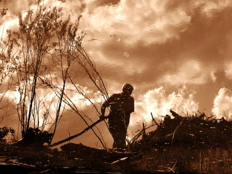 a person stands on the ground in front of trees