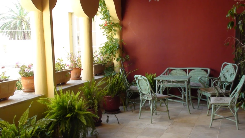 a group of plants in front of a red wall