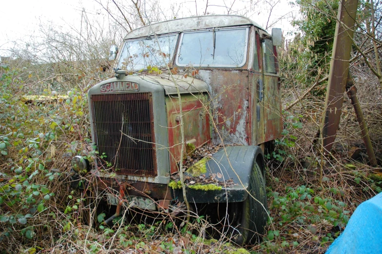 an old rusted truck in the woods covered by weeds