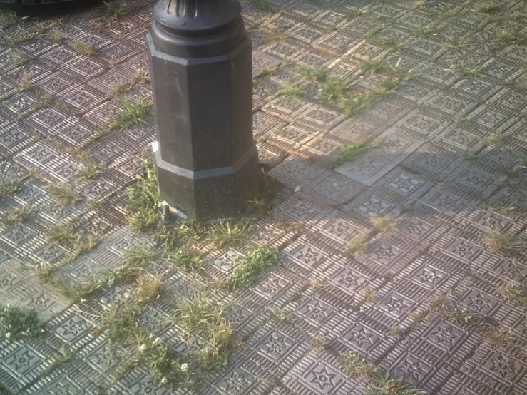 a parking meter and grass on a city street