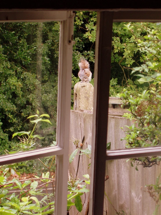 a window in the house shows a statue and trees