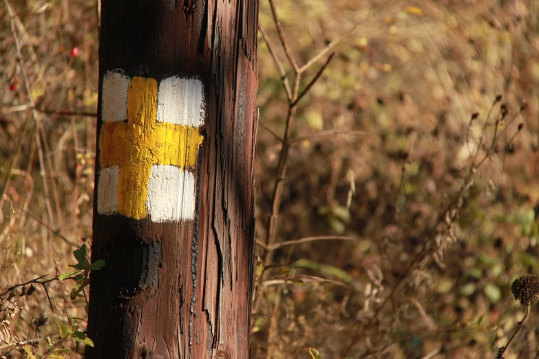 a telephone pole with yellow and white painted on it