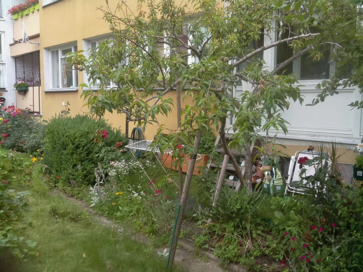 an outdoor garden area next to a house