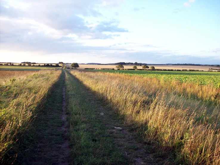 there is a long path going down the middle of a field