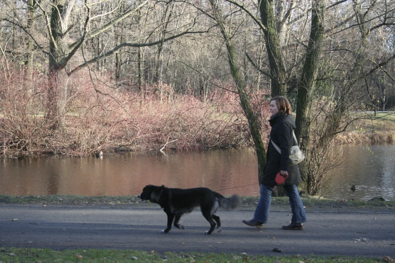 a person walking a dog on the road near a lake