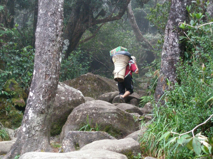 a man on a trek carrying luggage and standing on large rocks in the middle of a forest