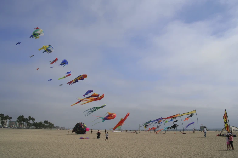 a group of people that are flying kites on the sand