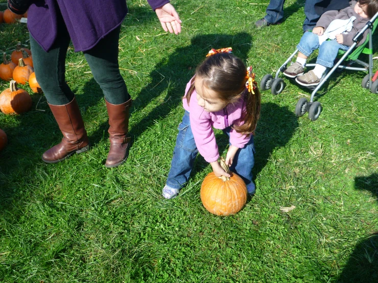 small girl holding pumpkins in front of some adults