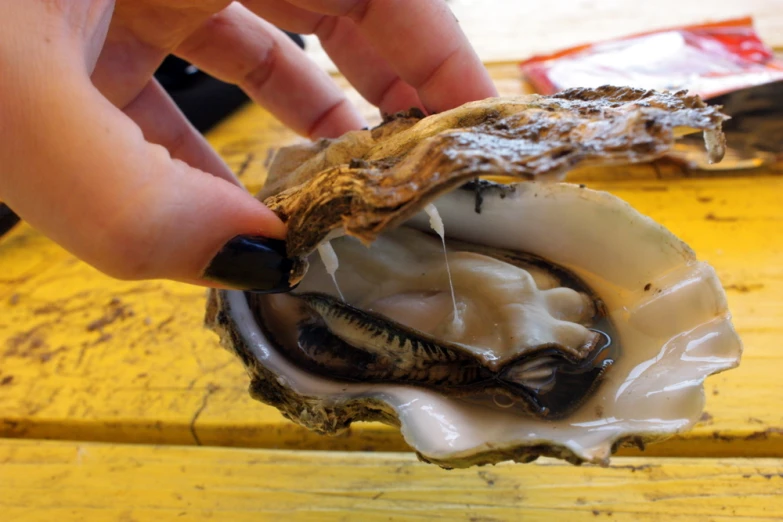 someone is removing the remains of an oyster from its shell