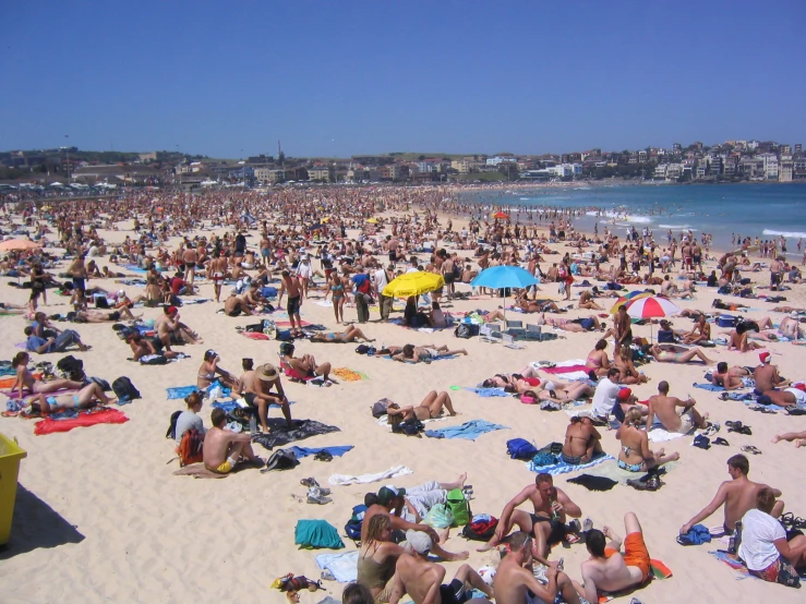 a large group of people on the beach