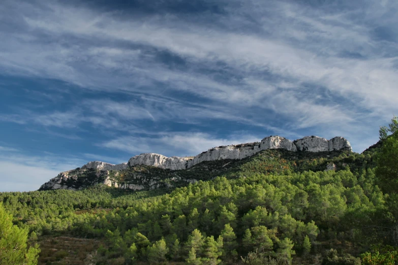 a view of the mountains in the distance of a forest with trees