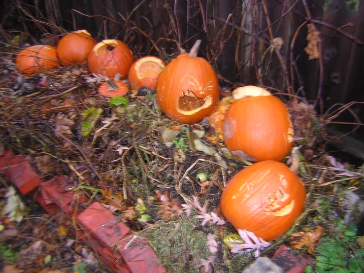 a number of carved pumpkins in an open field