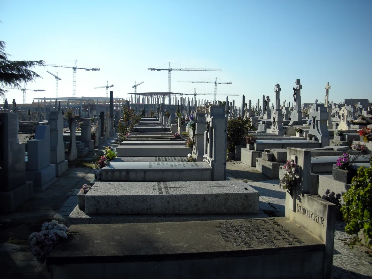 a cemetery with cement headstones and flowers