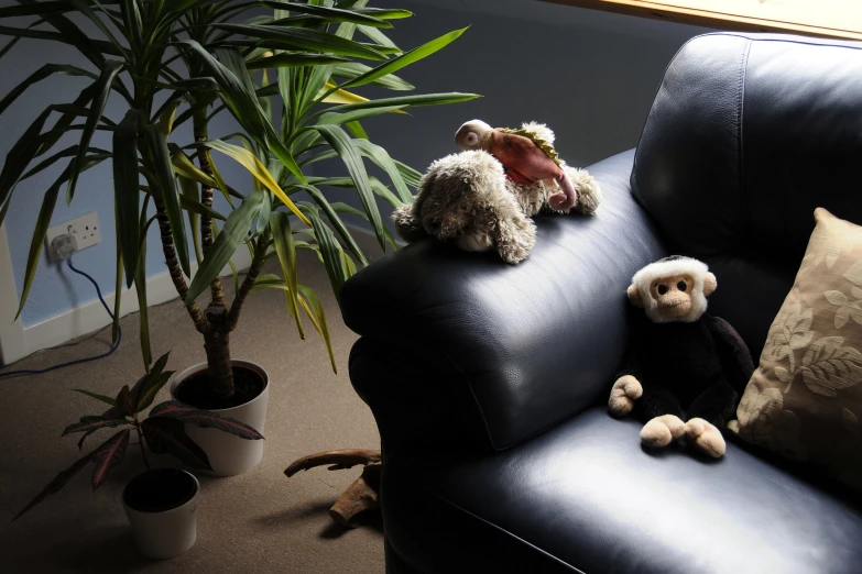 two stuffed bears that are on a couch