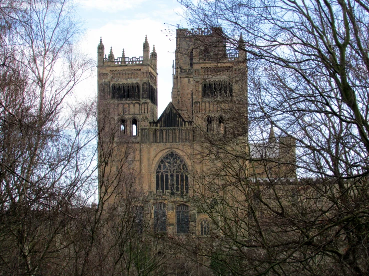 a church steeple surrounded by trees in the foreground