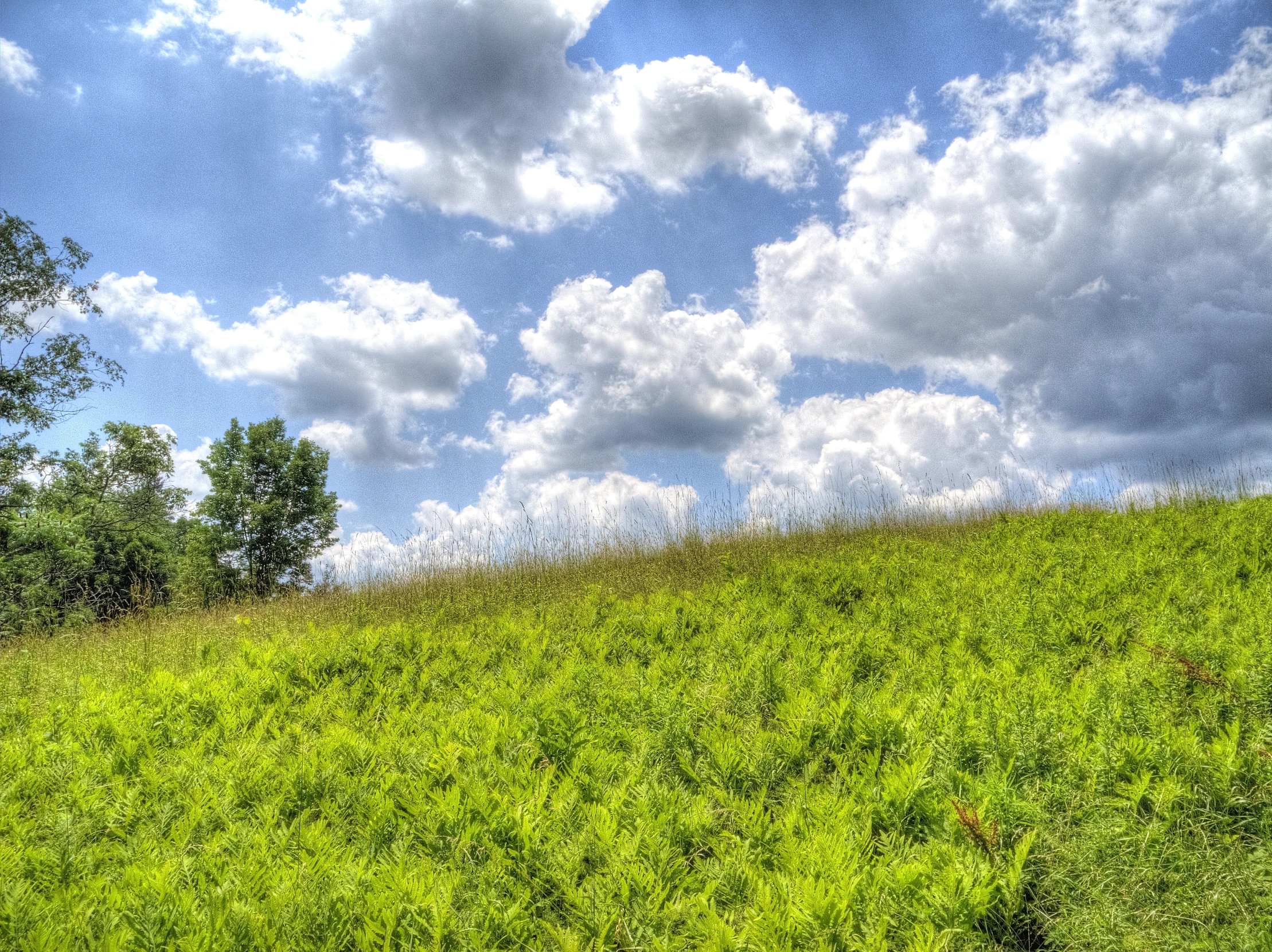 the bright green grass on the hillside has a lot of clouds