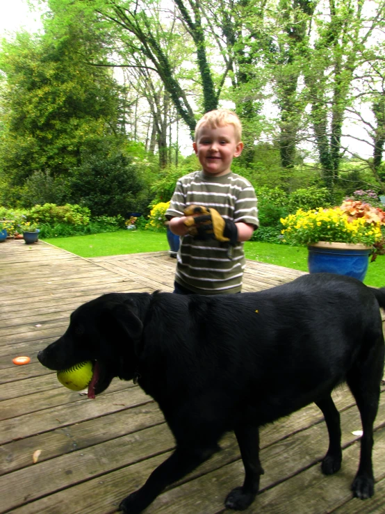  holding a toy ball in the mouth with his dog on a deck