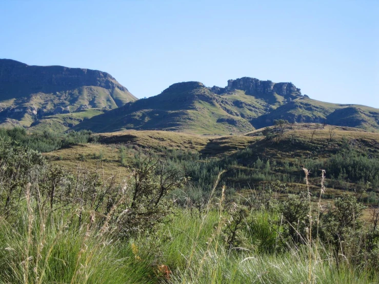 a grassy valley with a mountain range behind it