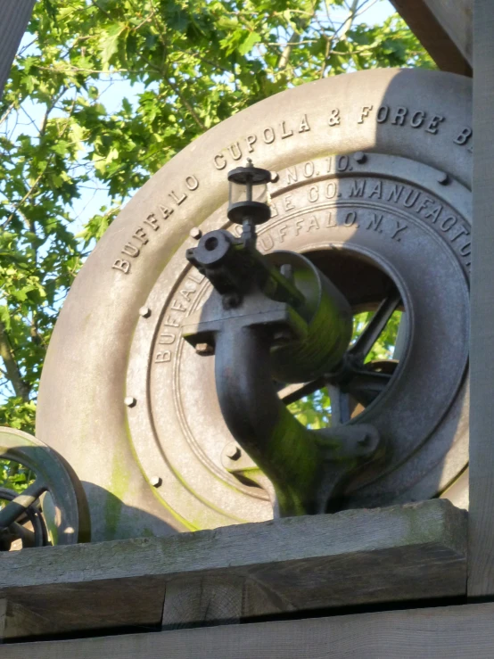 a sculpture showing a dolphin is under some leaves