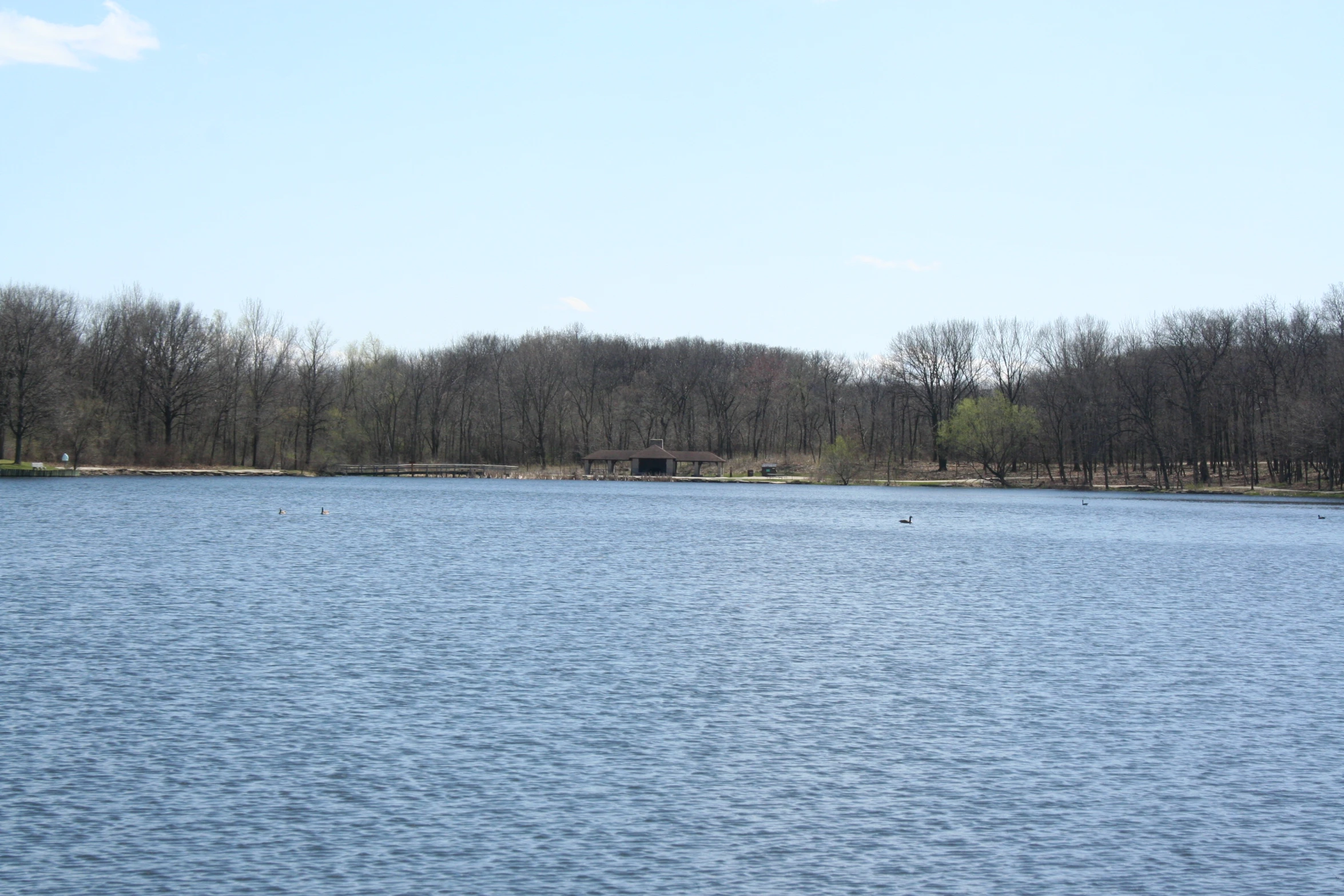 an image of water with trees in the background