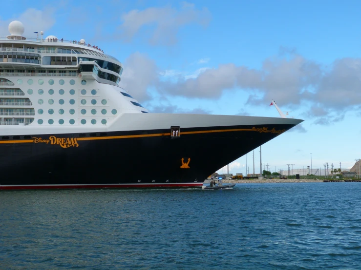 a large cruise ship in the ocean near shore