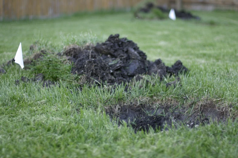 some dirt and grass in a yard with a paper plane