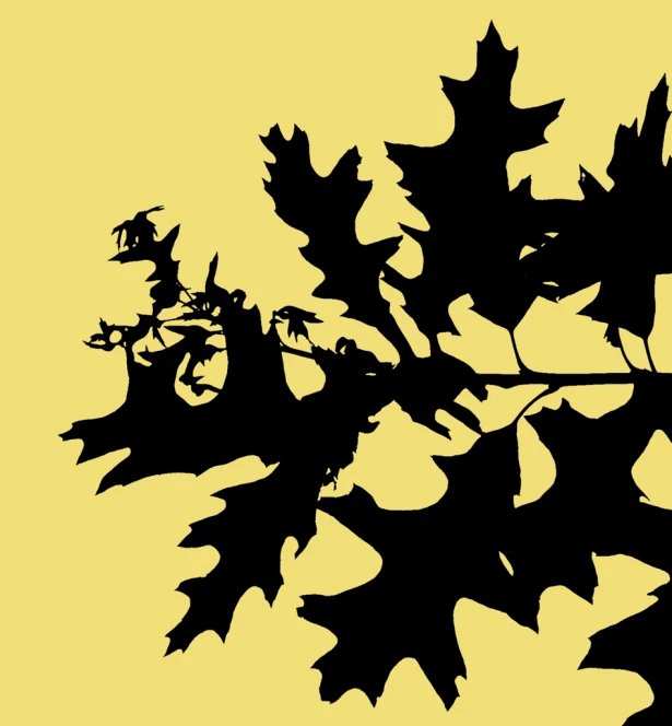 an image of some black leaves against a yellow background