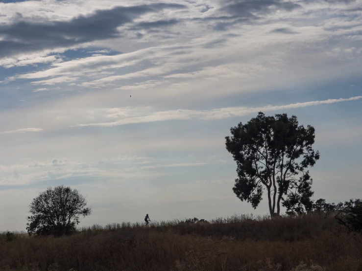 a man flying a kite in a field